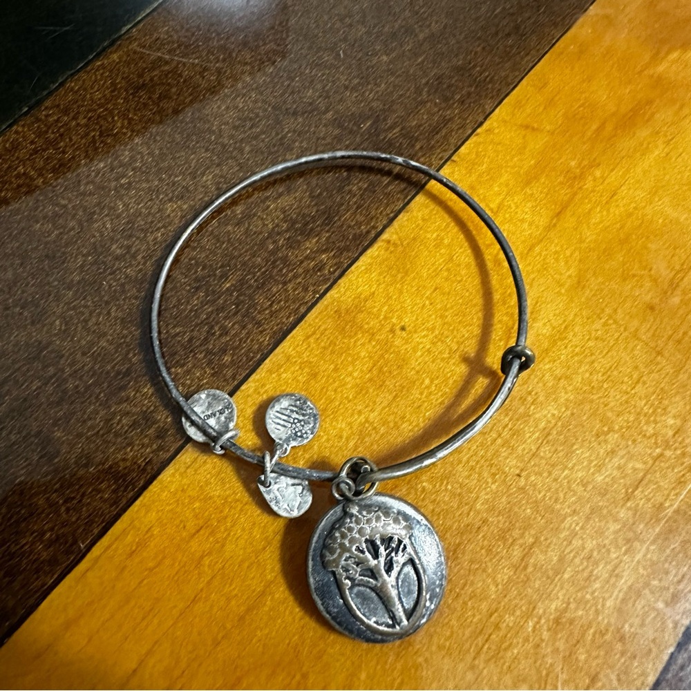 Alex and Ani Unexpected Miracles Charm Bangle